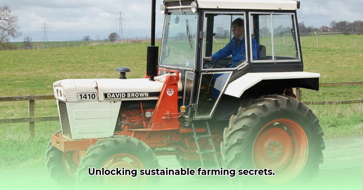 case-david-brown-tractor